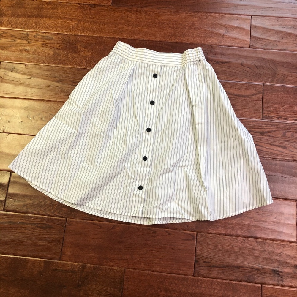 Zara Striped Skirt